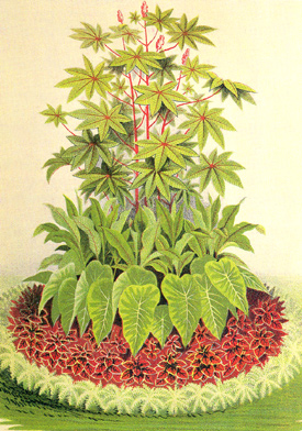 castor bean bedding from Vicks catalog