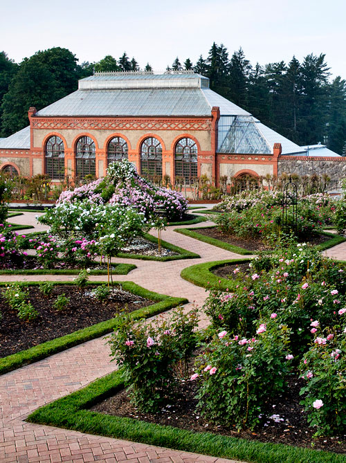 Revamped Website Offers Historic Plant and Garden Riches