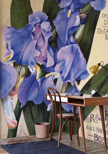 Cover Your Walls with Mural-Sized Botanical Images – www.oldhousegardens.com