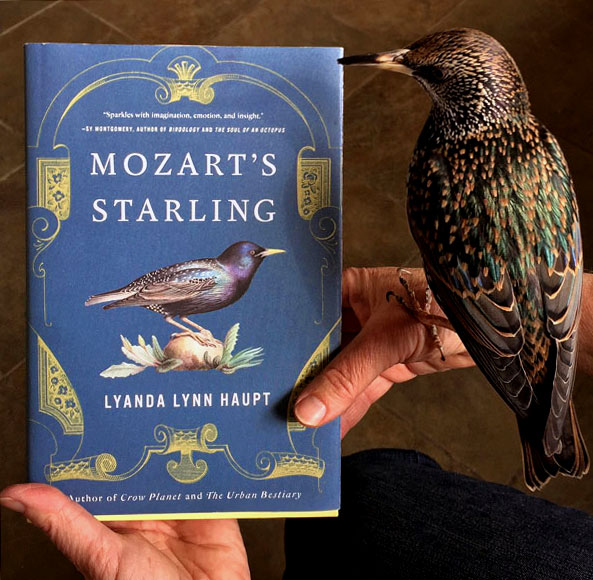 <i>Mozart’s Starling</i>: Seeing Nature with New Eyes – www.OldHouseGardens.com