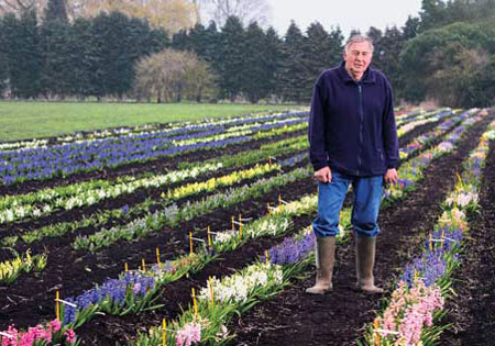 <i>Heirloom Gardener</i> Spotlights the “Noah of Hyacinths</a>” – www.oldhousegardens.com
