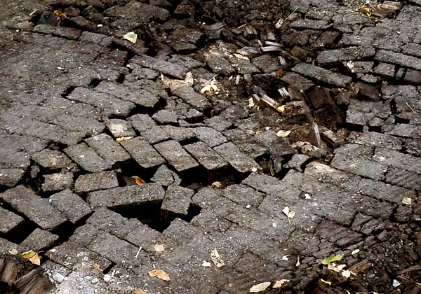 Was Your Street Paved with Wooden Bricks? – www.oldhousegardens.com