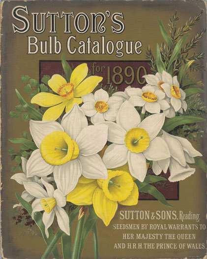 2014-2015 Catalog Cover Suttons