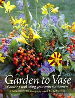 Garden to Vase