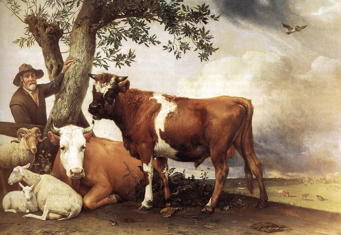 Young Bull by Paulus Potter, 1647