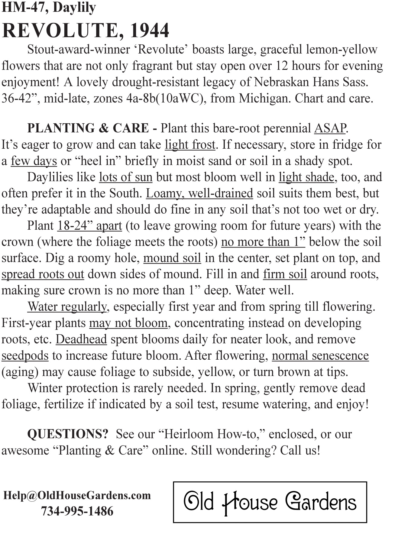 Revolute daylily bagtag