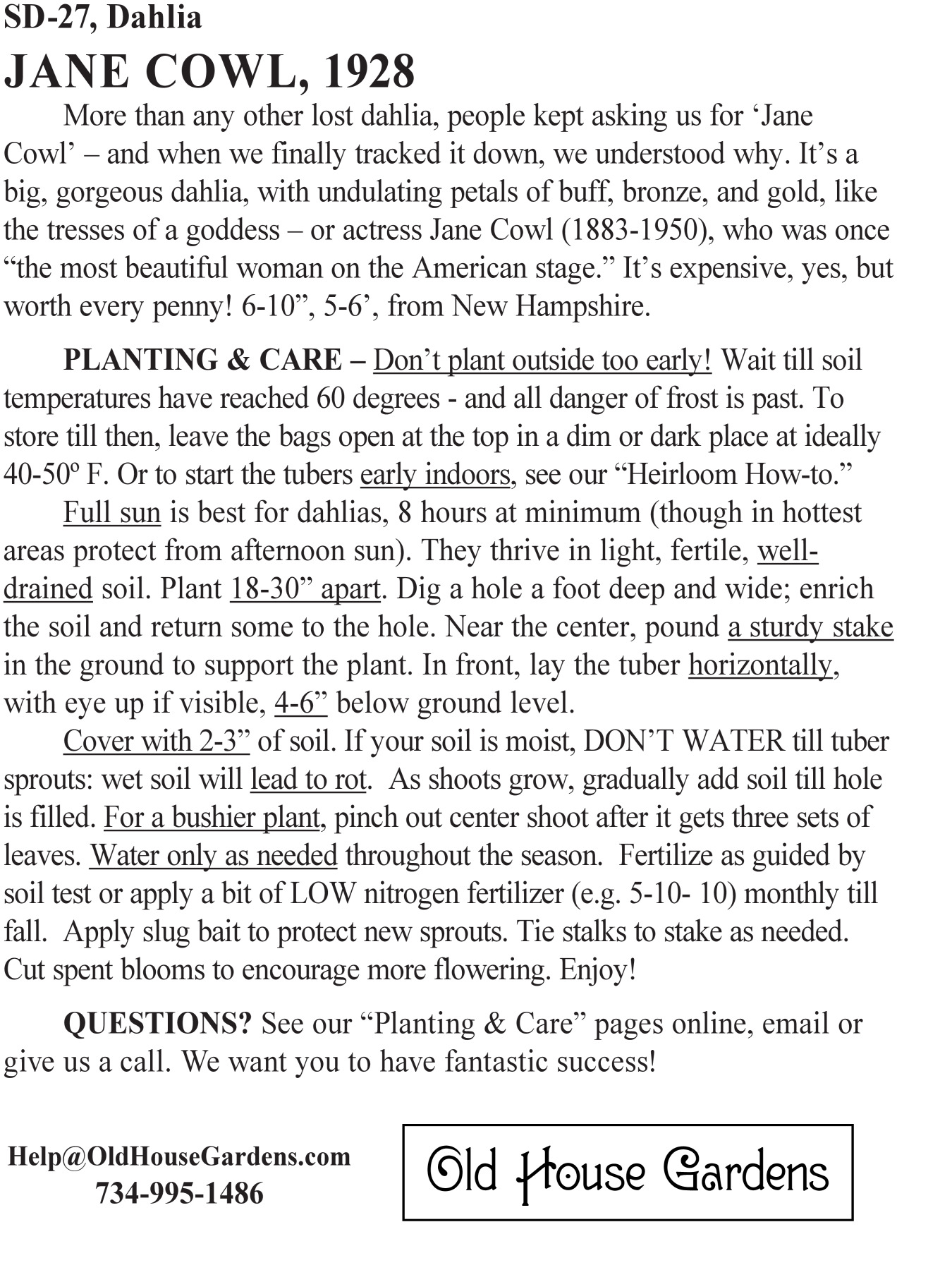 Jane Cowl dahlia bagtag