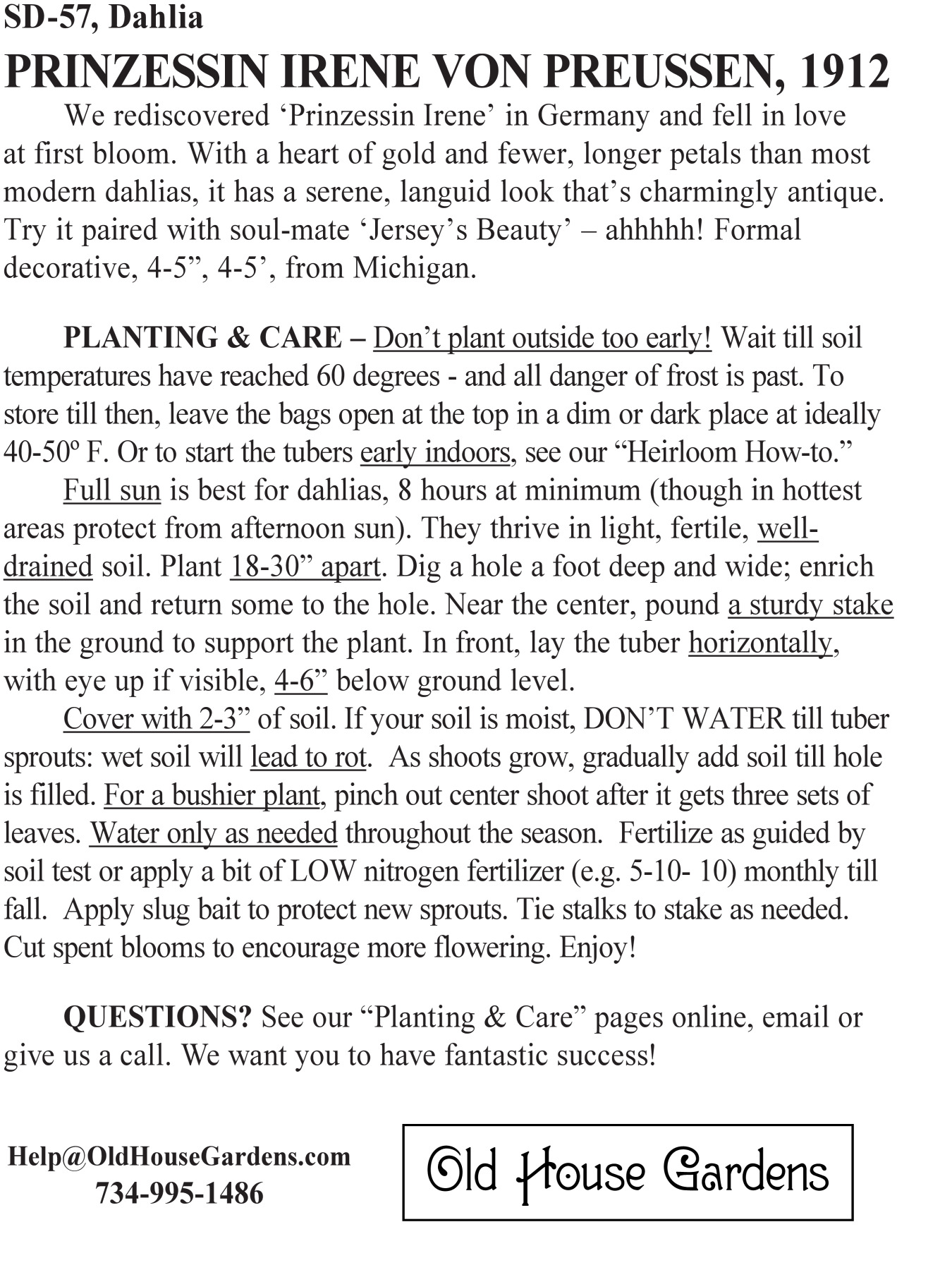 Prinzessin Irene von Preussen dahlia bagtag