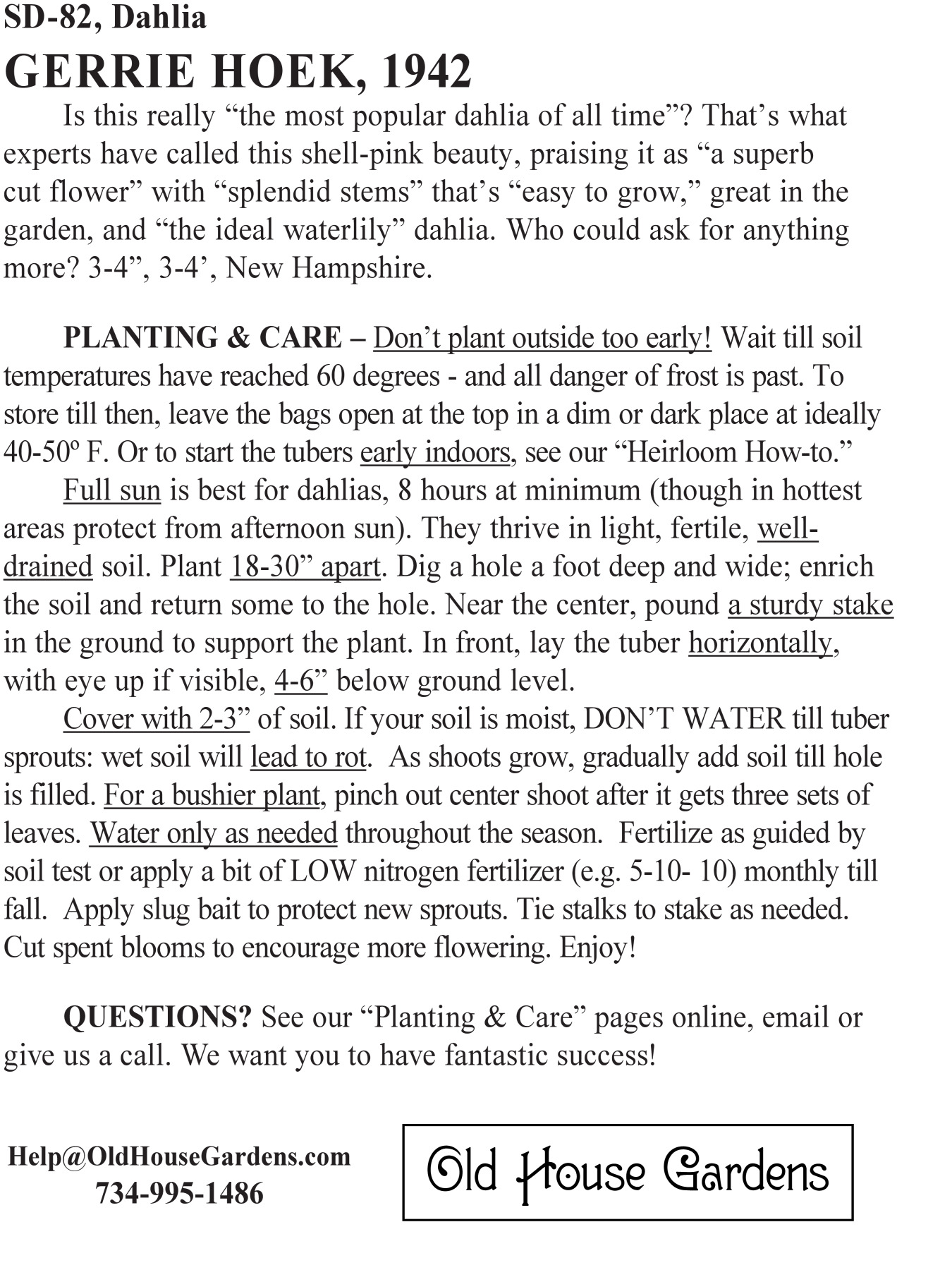 Gerrie Hoek dahlia bagtag