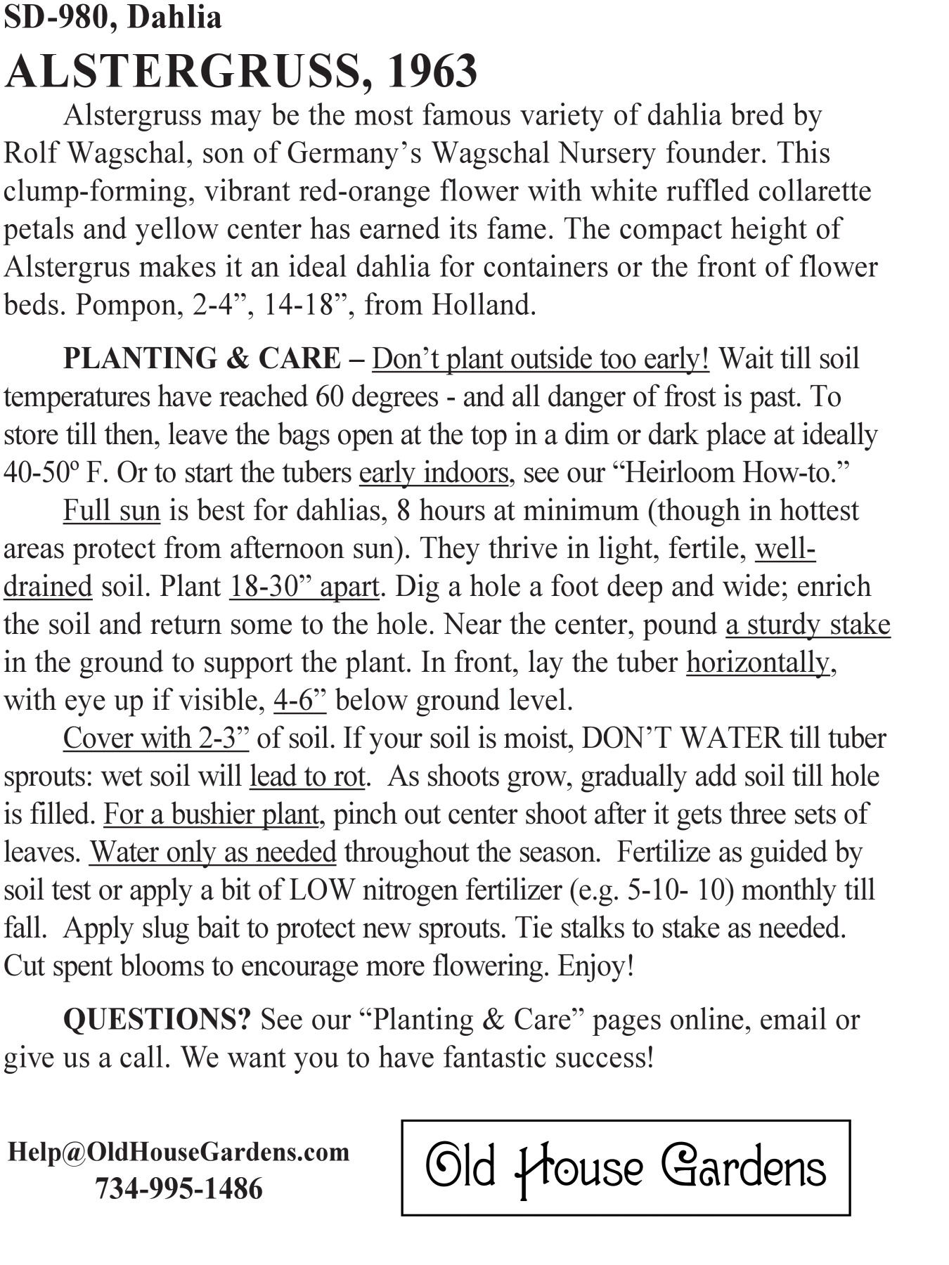 Alstergruss dahlia bagtag