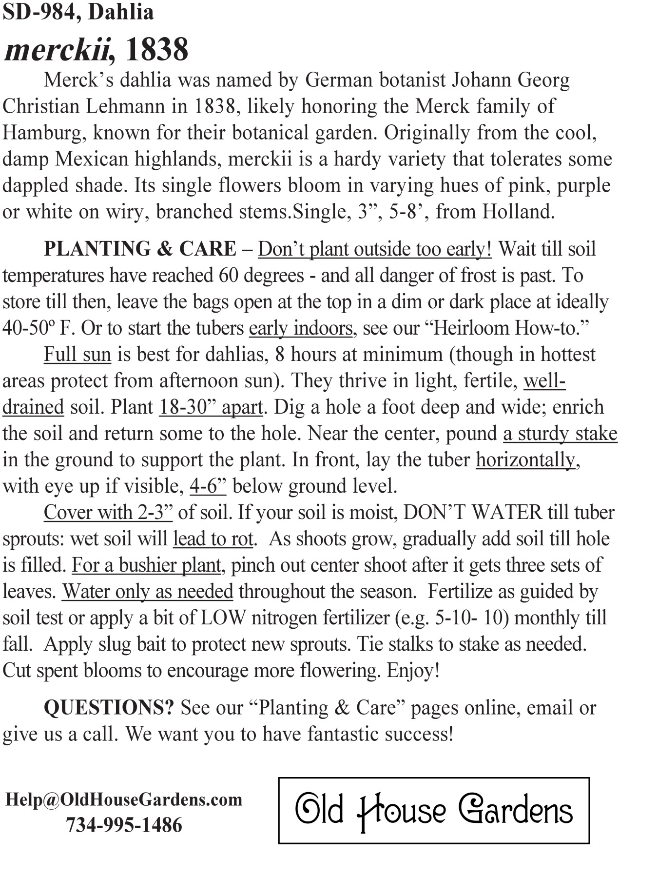 <i>merckii</i> dahlia bagtag