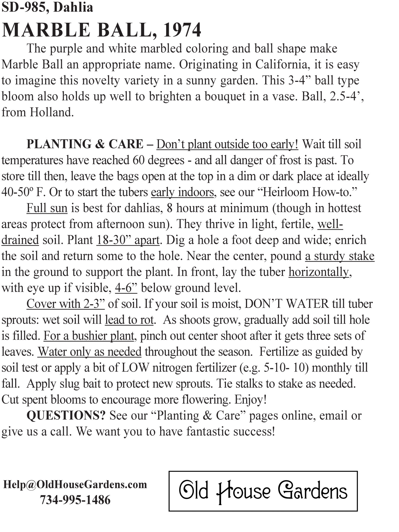 Marble Ball dahlia bagtag