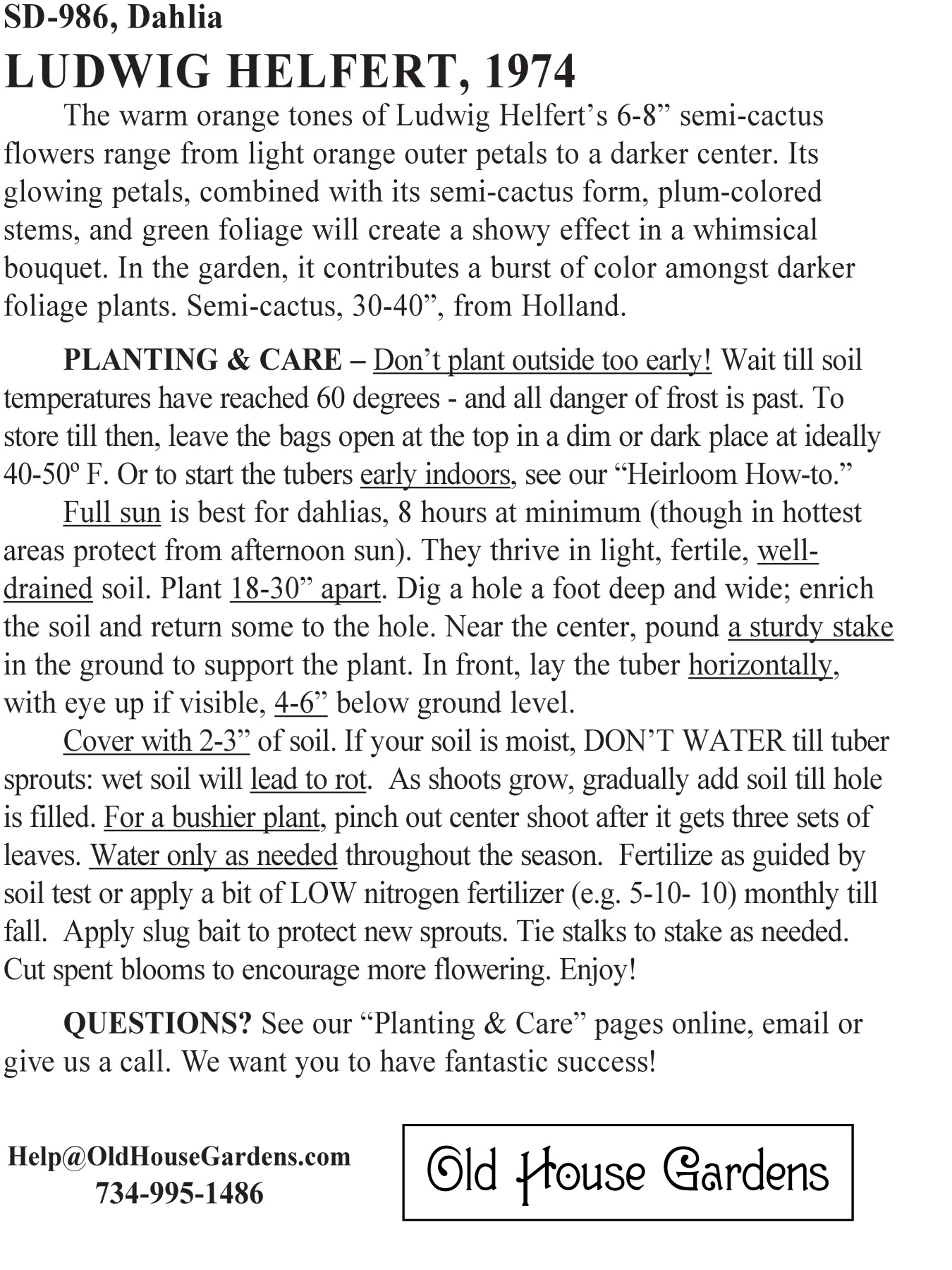 Ludwig Helfert dahlia bagtag