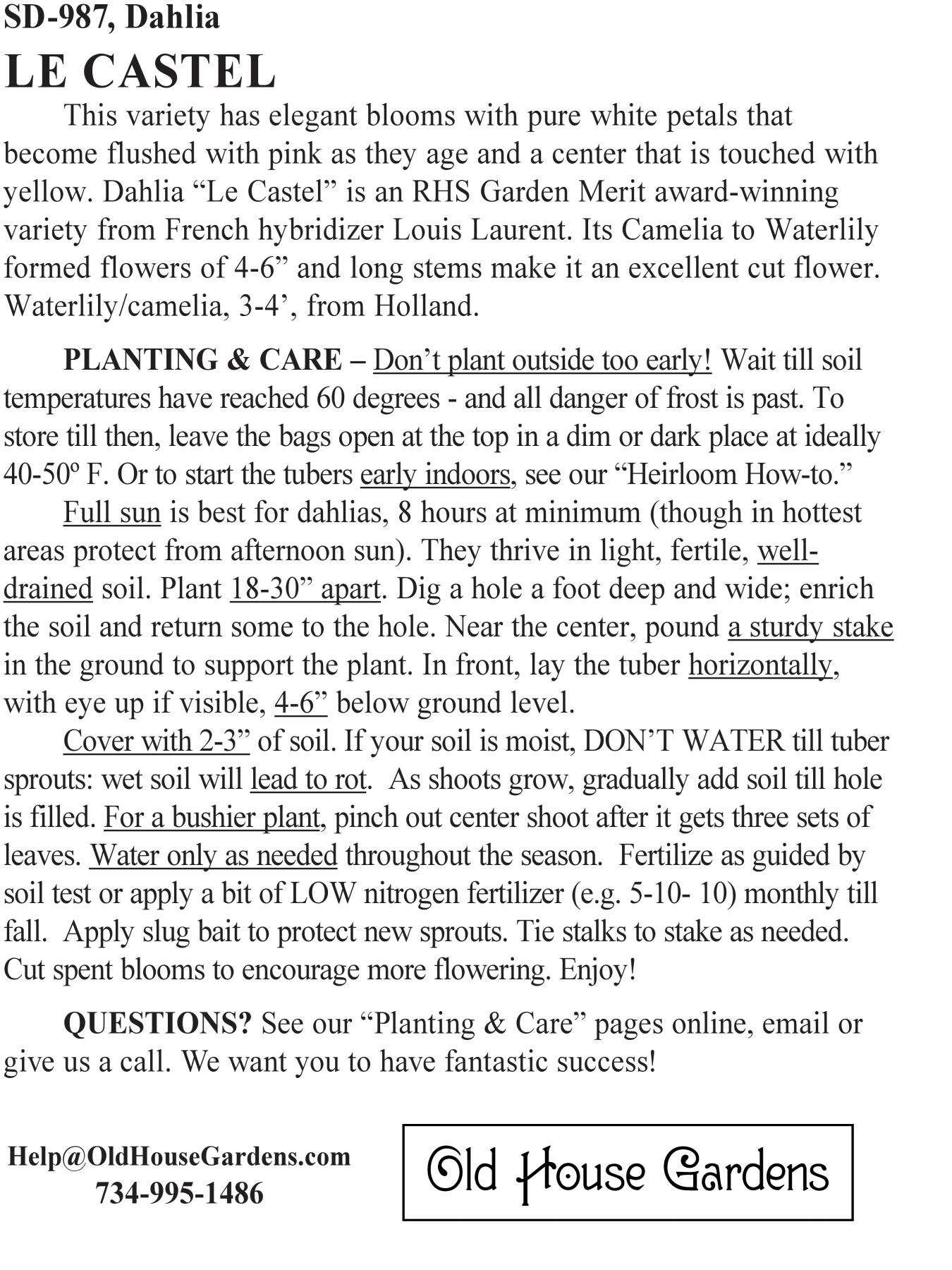 Le Castel dahlia bagtag