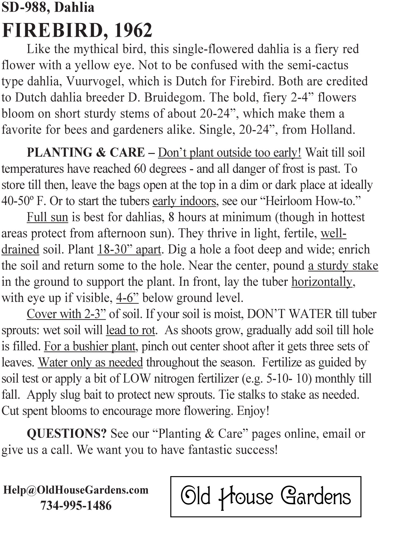 Firebird dahlia bagtag