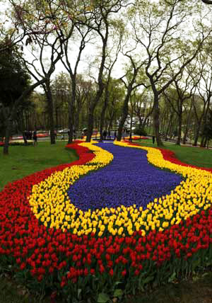 Tour the Instanbul Tulip Festival –  from Home