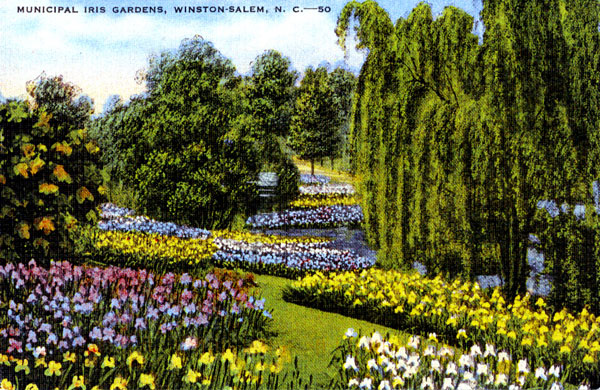 Paradise Lost: Winston-Salem’s Municipal Iris Garden – www.OldHouseGardens.com