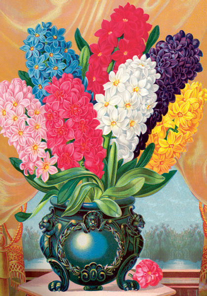 Easter Basket Hyacinths sampler heirloom bulbs