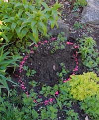 Make a Cheap, Easy, Lazy-Way Compost Bin - Karen Bussolini Garden Arts