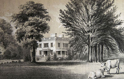 Alexander Hamilton: Bulb Gardener – www.OldHouseGardens.com