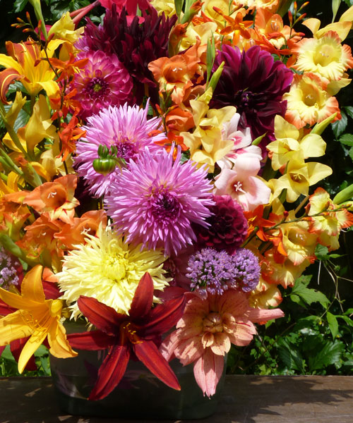 Frumpy No More: Glads and Dahlias for Stylish Bouquets – www.oldhousegardens.com
