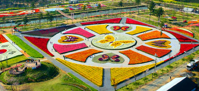 KoreanTulipFestival.jpg