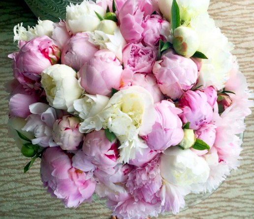 From Our Newsletter: Peonies