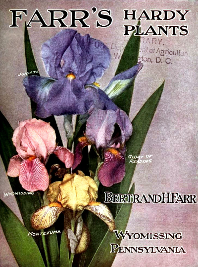 Iris & Gladioli Free P & P U.K. Botanical / Museum Postcard 
