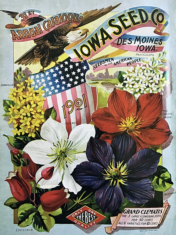 1926 Vintage WILD FLOWER "HONEYSUCKLE" GORGEOUS COLOR Art Lithograph 