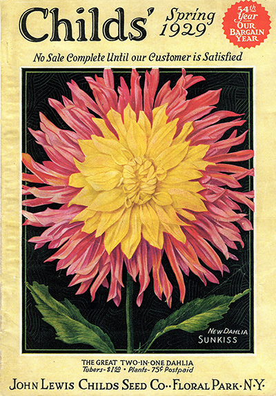 Childs Jewel Rose Seed Packet Catalogue Advertisement Art Poster