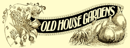 Old House Gardens Heirloom Bulbs